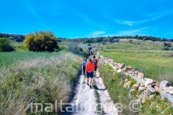 Un gruppo di studenti a piedi attraverso la campagna maltese