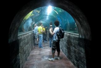 GLi studenti nel tunnel dell'acuario