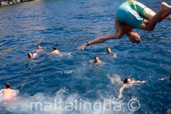 Gli studenti si tuffano in mare