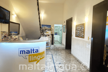 La reception di Maltalingua