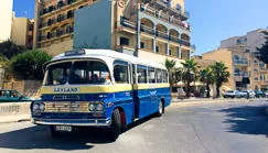Navetta gratuira per gli studenti (Junior).